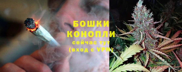 спайс Пересвет