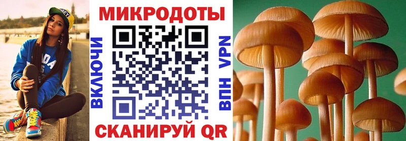 хочу   Амурск  Галлюциногенные грибы Magic Shrooms 